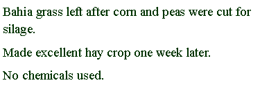 Text Box: Bahia grass left after corn and peas were cut for silage.Made excellent hay crop one week later. No chemicals used.